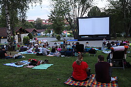 Banner Kino-Picknick im Park