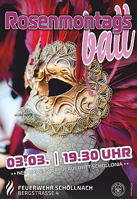 Banner Rosenmontagsball